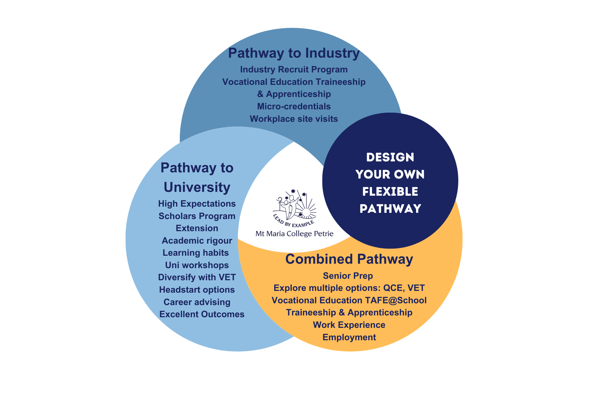 Flexible Pathways MMCP .png